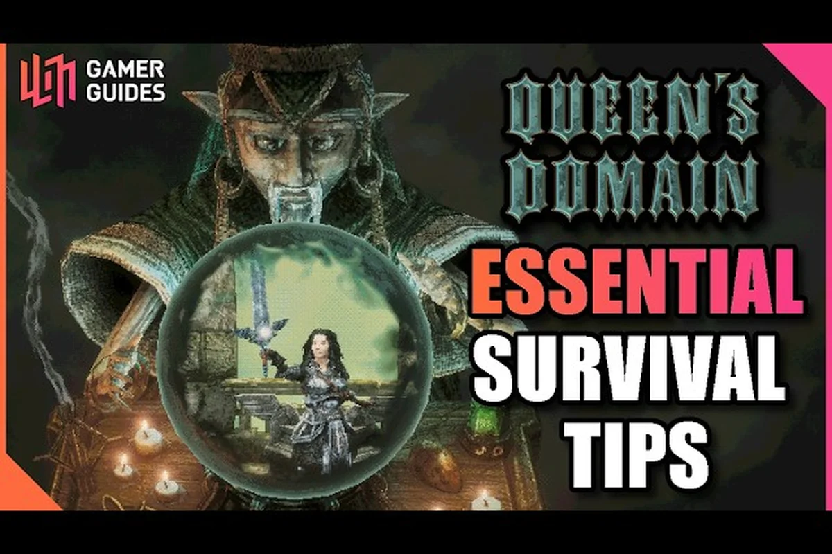 Queen's Domain Cooking: Queens Confirmed Food